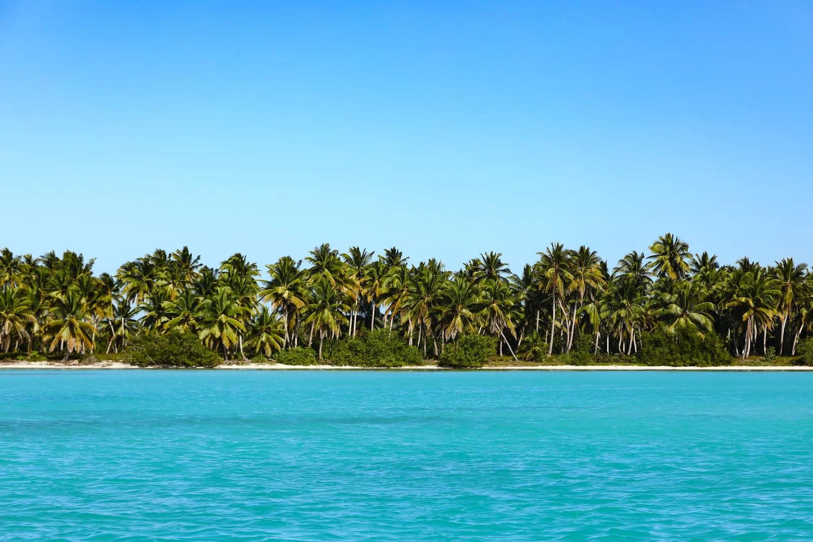 A breathtaking view of a tropical island with lush palm trees lining the turquoise ocean waters, ideal for a serene vacation.